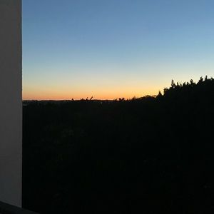 Meet your Posher, Ella